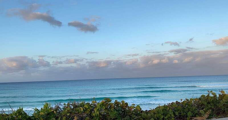 Mérida: Port of Progreso & Xcambo Mayan Ruins Tour - Included comforts and real-world logistics