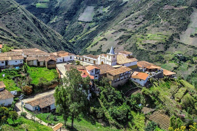 Mérida Private Walking Tour with a Local - Starting at Catedral de San Ildefonso: your Centro anchor point