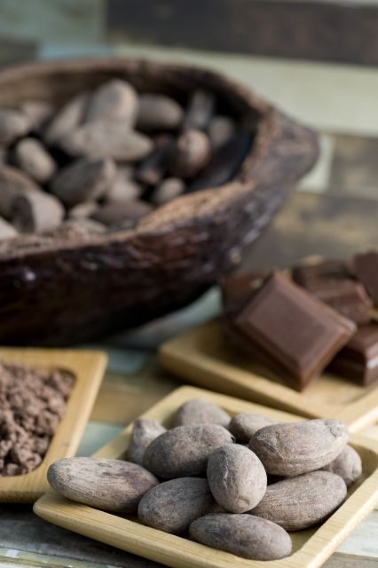 Mérida: Uxmal, Cenote and Chocolate Museum Choco-Story - Should you book this Merida tour?