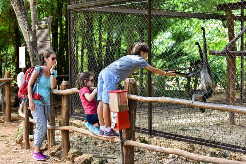 Mérida: Uxmal, Cenote and Chocolate Museum Choco-Story - Price and the real cost in your pocket