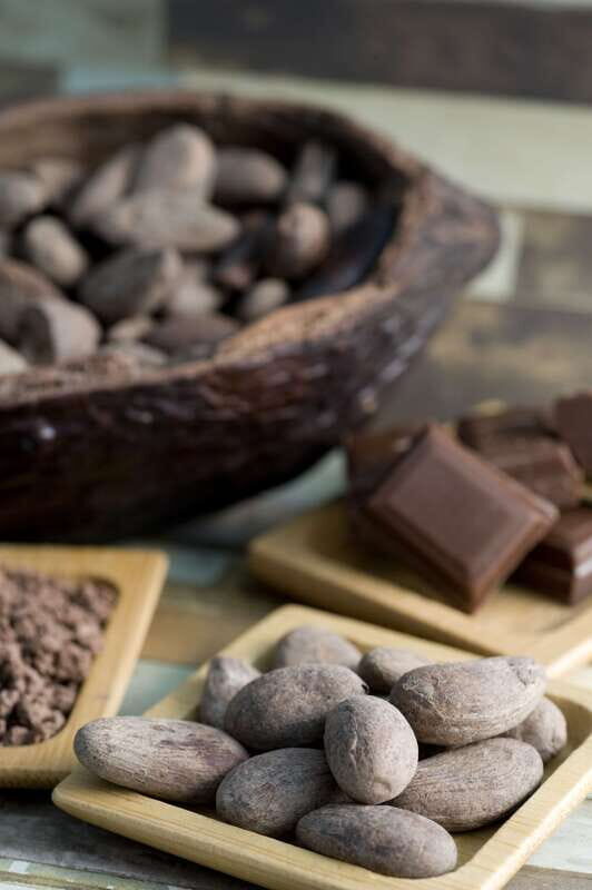 Mérida: Uxmal, Cenote and Chocolate Museum Choco-Story - Uxmal with a live guide: what you’ll get out of the Puuc Route