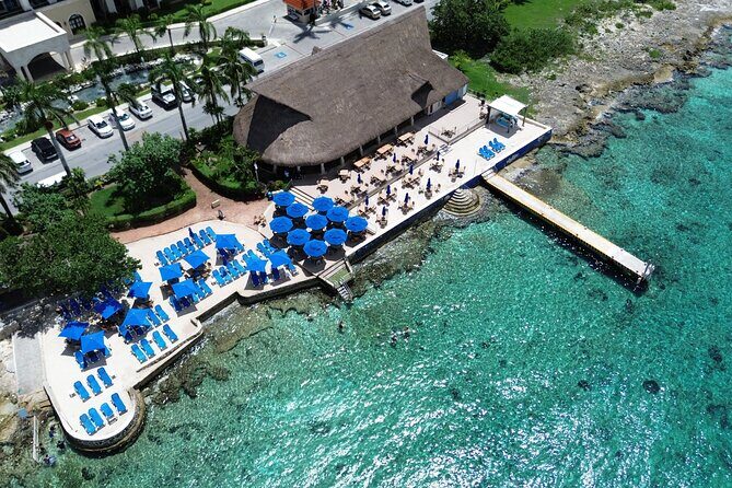 Money Bar All Inclusive Experience with Transportation - Key highlights worth knowing