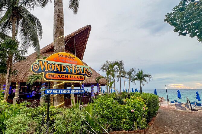 Money Bar Day Pass with Snorkel & Mexican Lunch - Who should book this, and who should skip snorkeling