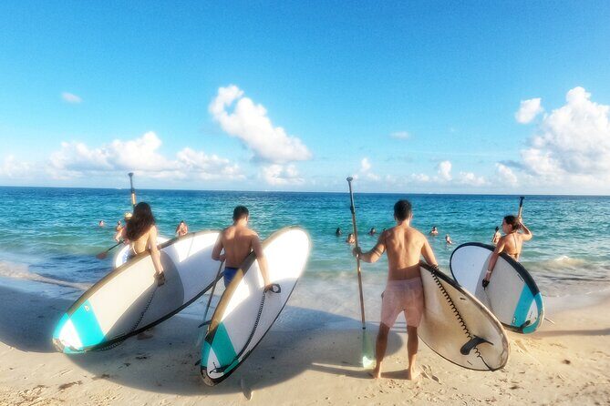 Morning Session - All Levels Paddleboard Group Caribbean Sea - Photos and Photos That Actually Help