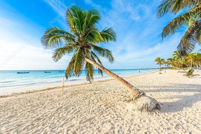 Mother Nature, Tulum and beach paradise with lunch - Fifth Avenue Shopping in Playa del Carmen: Who Really Gets This Stop