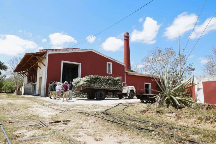 Motul, Hacienda, Xcambo, Pink Salt Mine & Progreso Day Trip - Xtampú Pink Ponds: why the water turns pink
