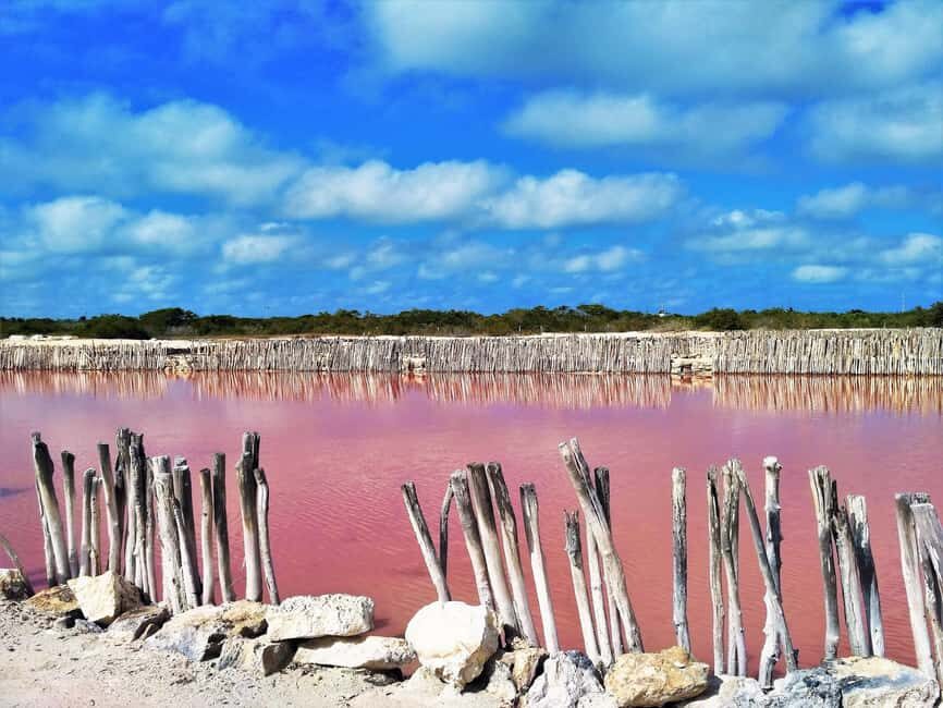 Motul, Hacienda, Xcambo, Pink Salt Mine & Progreso Day Trip - Progreso port time: sand, Gulf water, and a boardwalk