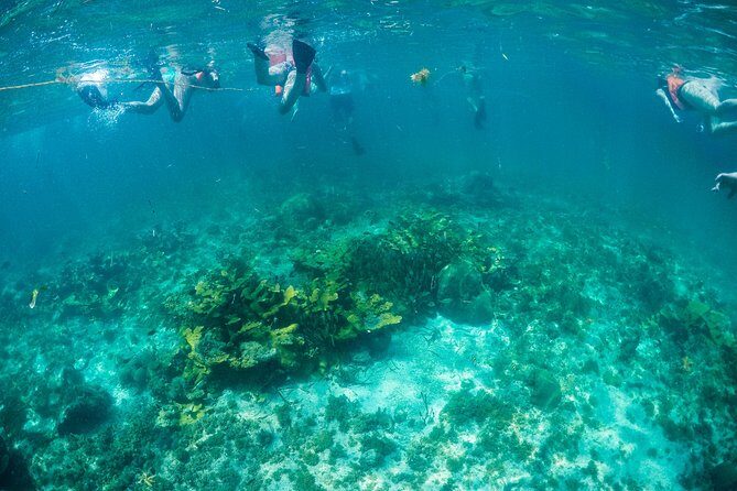 Mujeres Island Tour by Catamaran from Cancun City - Price reality check: docking fees, taxes, and the “platinum” pressure question