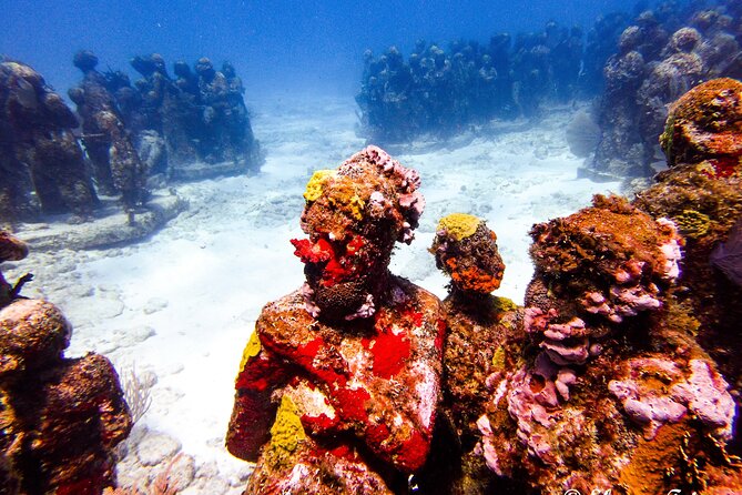 MUSA Museum and Colorful Reef 2 Tank Dive-Certified Divers - Manchones Reef: the second tank and why it changes the feel