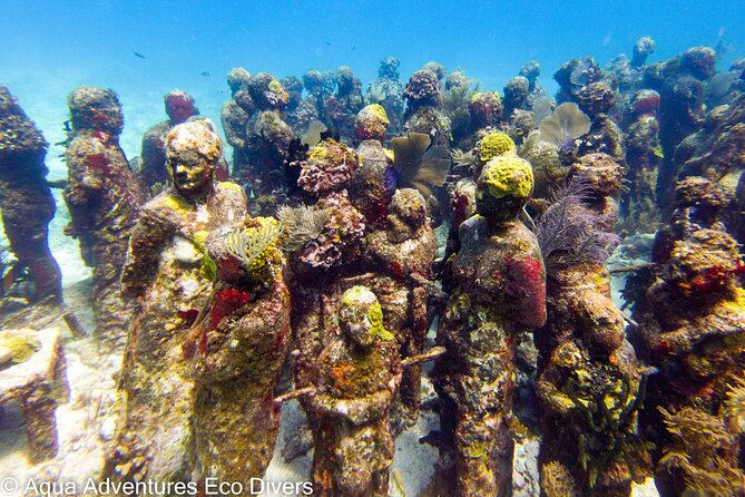 MUSA Museum and Colorful Reef 2 Tank Dive-Certified Divers - Wildlife checklist you can use before the water