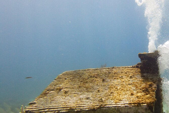 MUSA Museum and Colorful Reef 2 Tank Dive-Certified Divers - What’s included in the price (and what you should double-check)