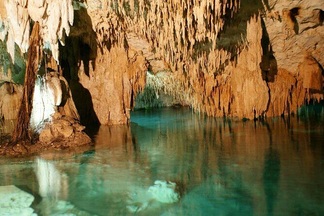 Mystic Adventure Atv and Cenote Experience from Tulum - ATV through the jungle: rough-and-flat fun, with a real-world route check