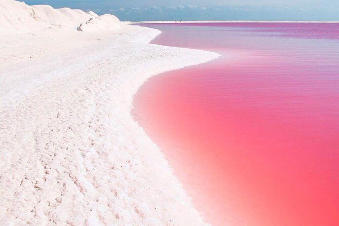 Natural Pink Lake Tour Las Coloradas only from Playa del Carmen - Ría Lagartos wildlife time: mangroves, lagoons, and bird chances
