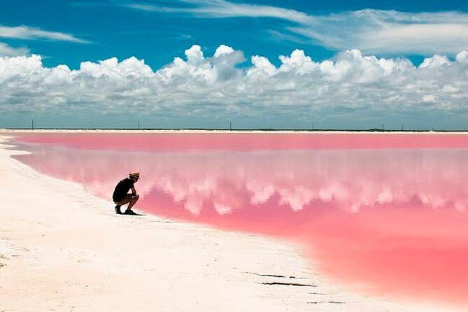 Natural Pink Lake Tour Las Coloradas only from Playa del Carmen - Who this Natural Pink Lake tour fits best