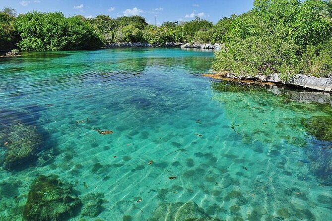 Natural Reserve of Sian Ka'an Tour ! - Snorkeling the Second-Largest Reef and the Natural Pool Swim