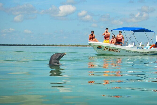 Natural Reserve of Sian Ka'an Tour ! - Day Schedule from 6:30am: How the Timing Works