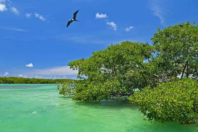 Nature Day, Sian Kaan Biosphere Tour! Round Transportation from Tulum City - The round trip from Tulum: plan for the bumpy part