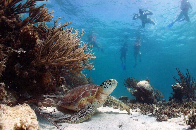 Nature Day, Sian Kaan Biosphere Tour! Round Transportation from Tulum City - Food on the schedule: meal choice and what’s not included