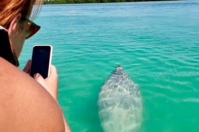 Nature Day, Sian Kaan Biosphere Tour! Round Transportation from Tulum City - What to bring (so the day feels easy, not annoying)