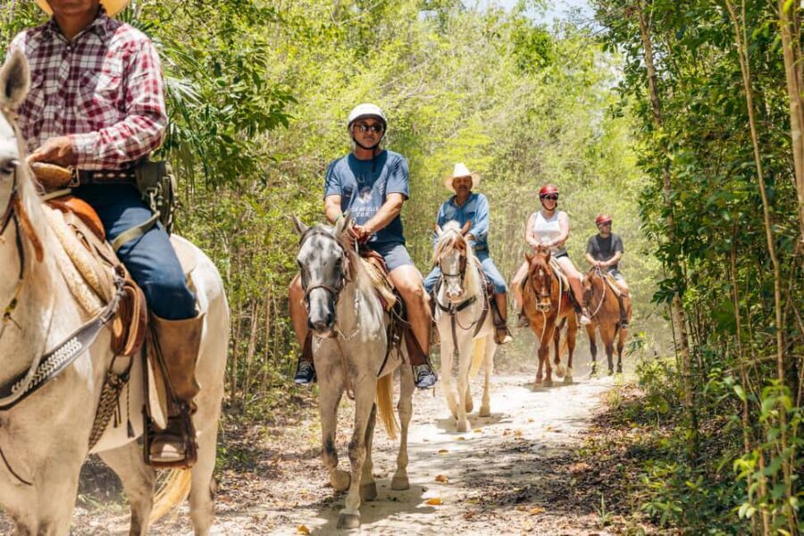 Nature Tour - The open cenote: swimming, aquatic zip line, jumps, and a slide
