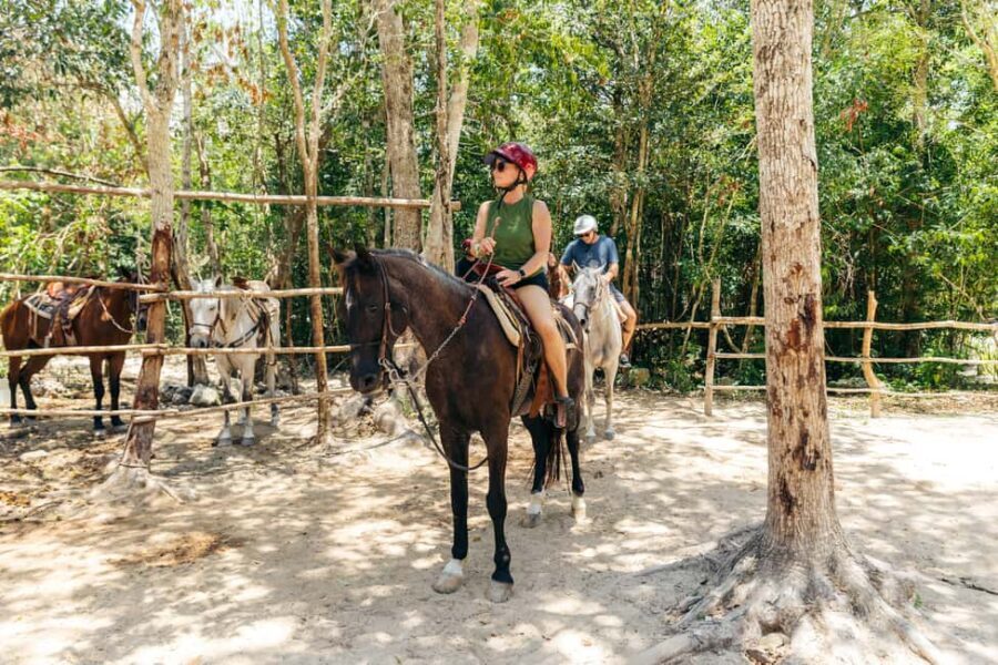 Nature Tour - Zip line logistics: why your phone and gear plan matters