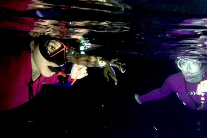 Night Snorkeling - Observation of octopus and other species - The included video: why it’s better than you think