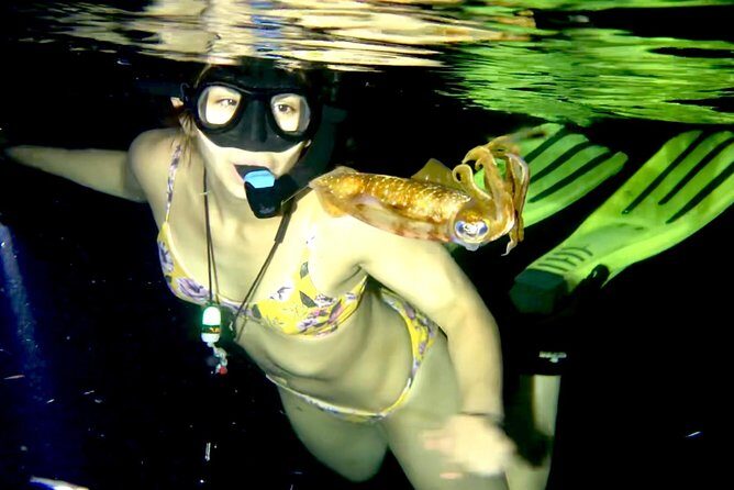Night Snorkeling - Observation of octopus and other species - Walking into the water: the shallow setup and real safety vibe