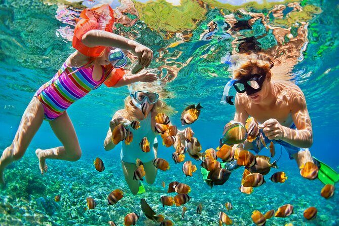 Nizuc Reef Snorkel Experience - Getting To Nizuc: The Aquaworld Marina Launch
