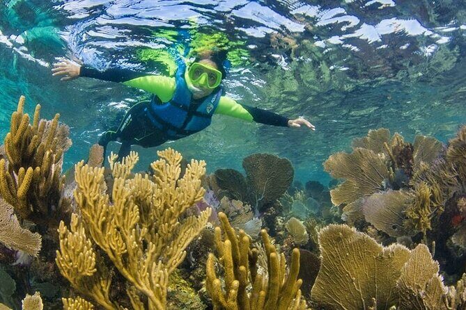 Nizuc Reef Snorkel Experience - Underwater Museum Sculptures: Art Meets Reef Life