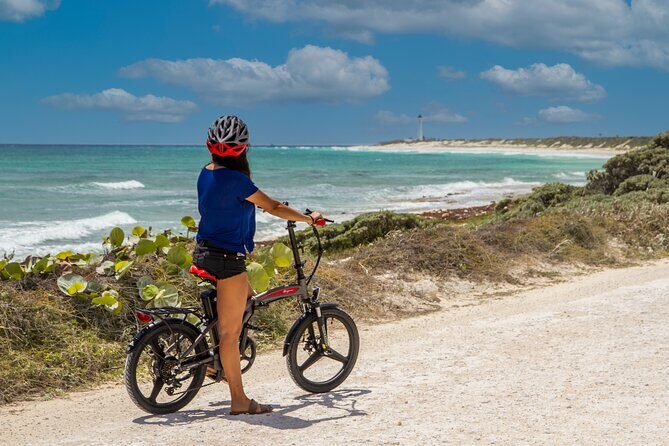North Shore E-Bike & Beach Break - Stop 2: Cocos Beach for Lunch and Paddle Time