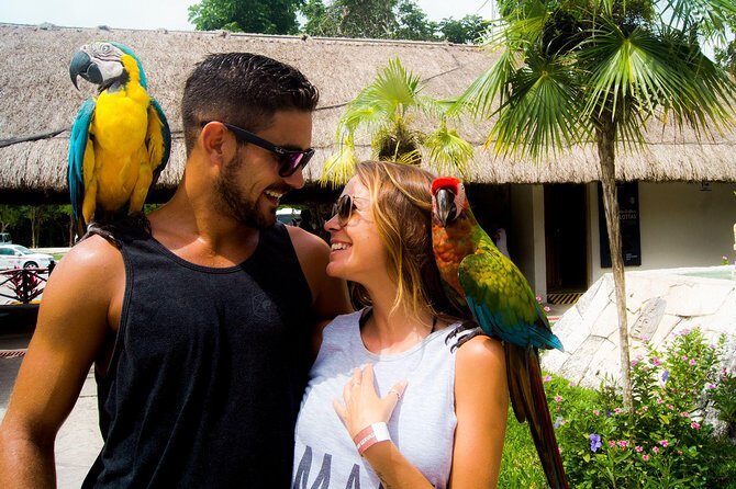 Off-Road Mayan Adventure in Cozumel with Snorkeling and Lunch - Off-Road to Jade Cavern Cenote: The Cool Break Your Day Needs