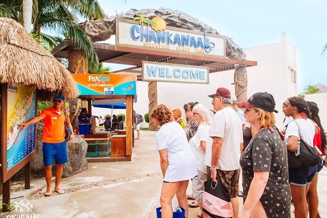 Official Chankanaab Beach Park Day pass with Snorkel - Beach comfort at Chankanaab: loungers, palapas, hammocks, and real-life logistics