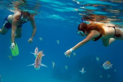 Official Chankanaab Park Day pass and Snorkel with Lunch included - What your day pass includes at the park (and what it means)