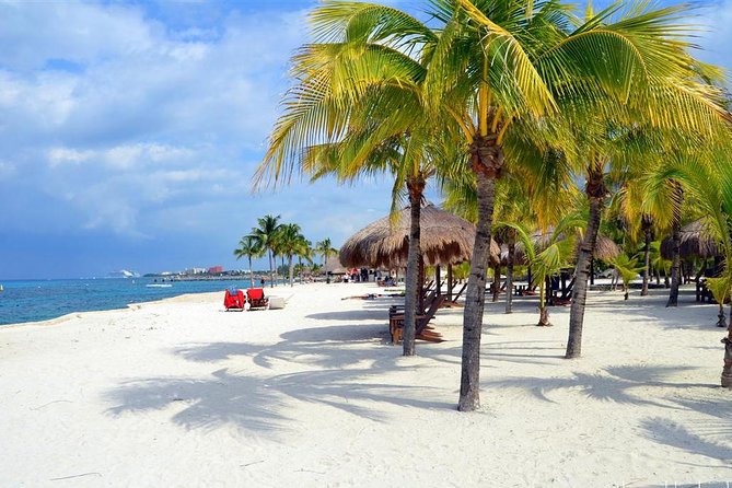 Official Chankanaab Park Day pass and Snorkel with Lunch included - Lunch by the seashore: what’s included, and what to watch