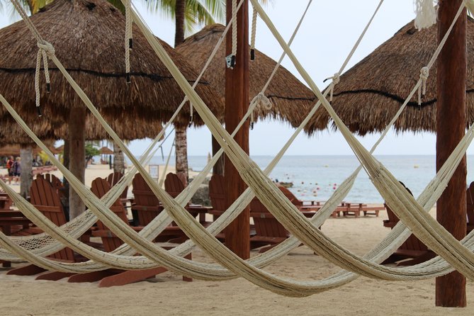 Official Chankanaab Park Day pass and Snorkel with Lunch included - Price and logistics: why this package can be great value (or not)