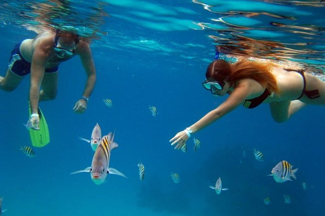 Official Chankanaab Park Day pass and Snorkel with Lunch included - What your day pass includes at the park (and what it means)