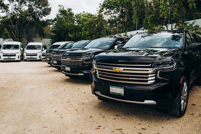 One Way Private Transfer Playa del Carmen - Cancun Int Airport - Key things that make this transfer worth your time
