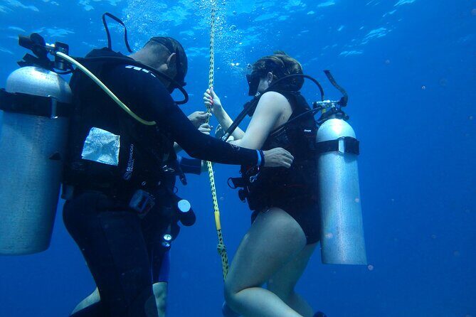 Open Water Certification Course-PADI - Day 2 skills review and boat time: Training with coral and sea life