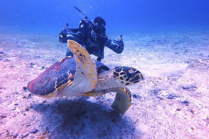 Open Water Certification Course-PADI - Day 3 Marine National Park: Your 2-tank graduation outing