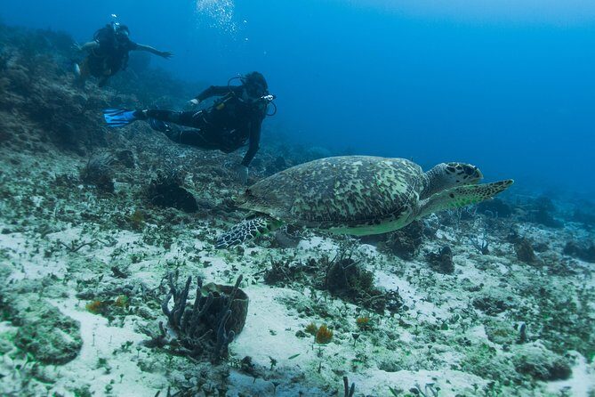 Open Water Course Cozumel - Where you start: San Miguel de Cozumel vs Playa del Carmen ticket pickup