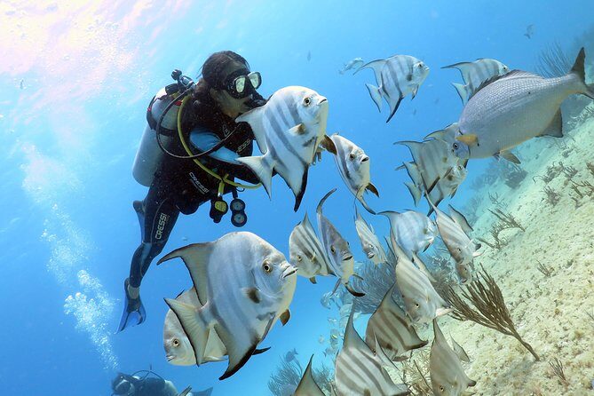Open Water Diver 2-Day PADI Course in Playa del Carmen - Price breakdown: what $299 covers (and the add-ons that change the total)