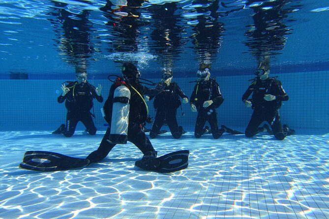 Open Water Diver 2-Day PADI Course in Playa del Carmen - The boat-led open-water practice: handling currents and finding better visibility