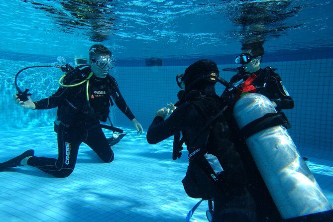 Open Water Diver 2-Day PADI Course in Playa del Carmen - The course flow: online theory, pool skills, then 4 open-water sessions