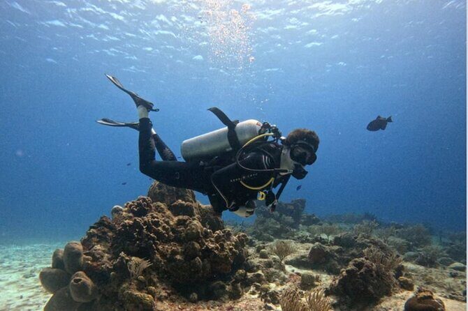 Open Water Diver Course - Key Highlights Before You Go