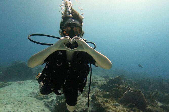 Open Water Diver Course - Cozumel Is a Smart Place to Start Open Water