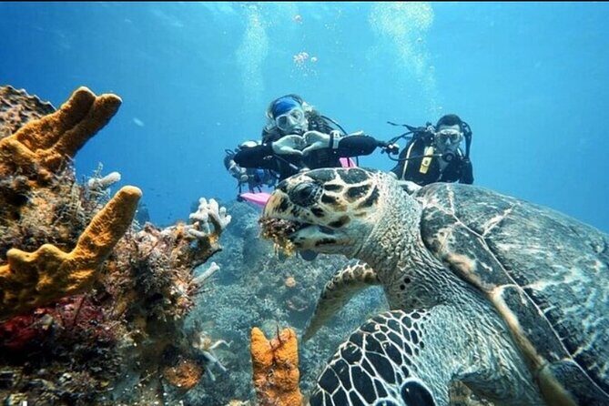 Open Water Diver Course - Meet the Instruction Team: Aida and Eider’s Teaching Style