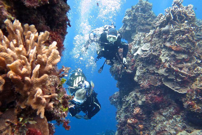 Open Water Diver course PADI in Cancun - Instructor support and small-group energy (up to 15)
