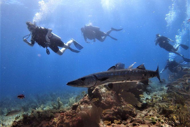Open Water Diver course PADI in Cancun - Where this Cancun course fits best (and where it doesn’t)