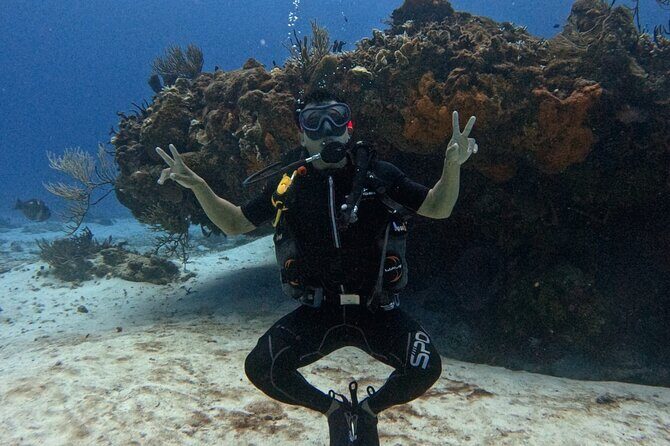 Open Water Diver Course - The 3-Day Flow: Shore Skills to Marine Park Reefs