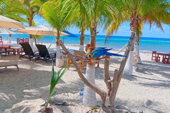 Otoch Mayan Experience Tour: Cultural & Historical Adventure - Stop 4: Hacienda Ixtlan and the tequila seminar (18+ tasting)